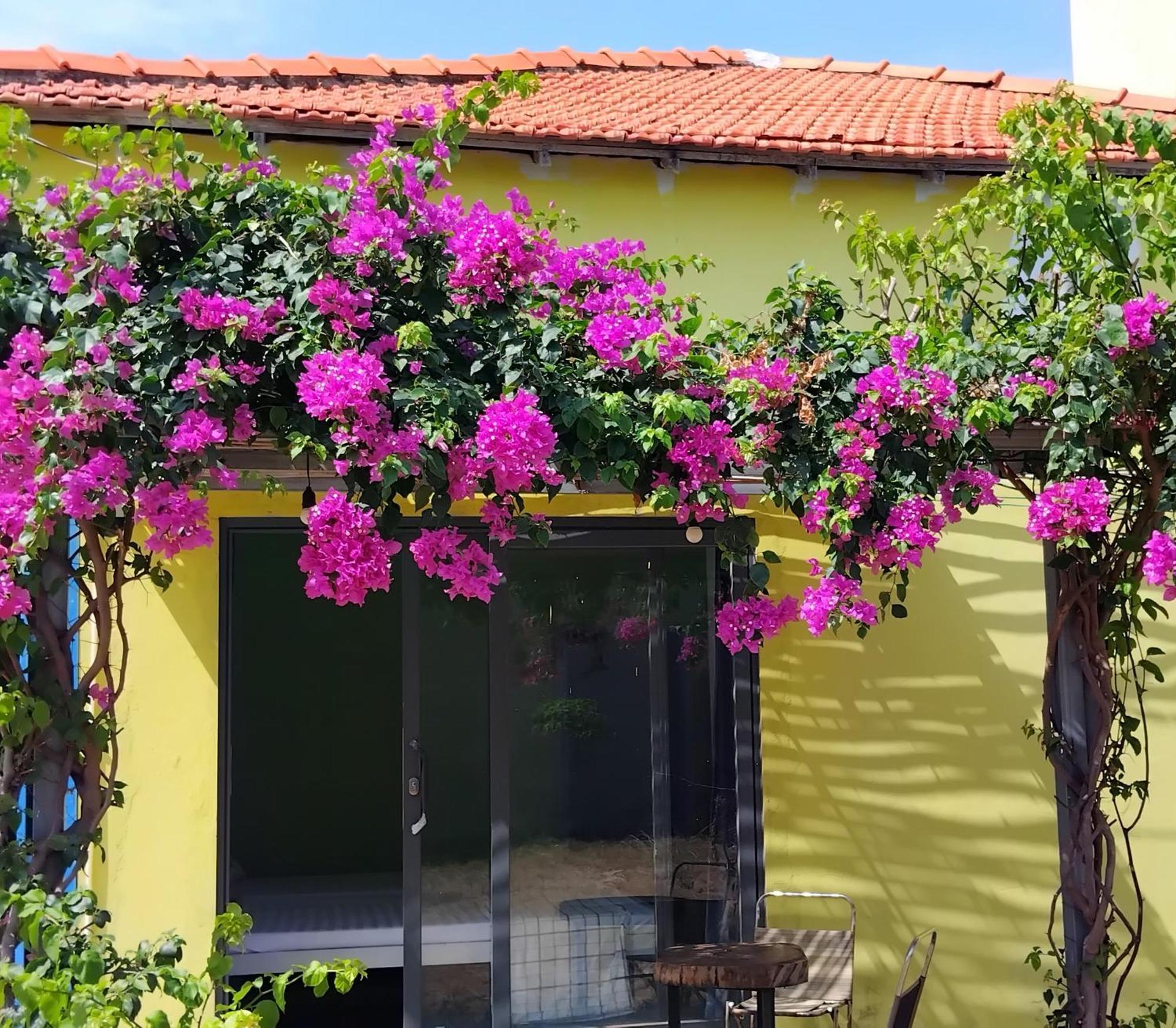 Chunlii Homestay Kê Gà Exterior foto